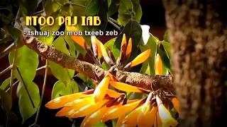 tshuaj paj iab zoo mob txeeb zeb