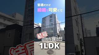 【ファスト内見】普通だけど綺麗で可愛い1LDK！ #札幌 #賃貸 #不動産 #北海道 #物件 #エフズライフ #shorts