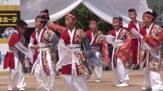 太伯なでしこ連 2016岡山うらじゃ 1日目 下石井公園 mususukunjp