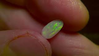 4.95cts fully polished Lightning ridge opal parcel, 5 opals in the parcel