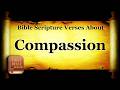 Bible Topics: Scripture Verses About Compassion - Holy Bible KJV Read Along HD 4K Audio Text