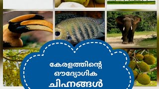 കേരളപ്പിറവി ദിനത്തിൽ കേരളത്തിന്റെ  ഔദ്യോഗിക  ചിഹ്നങ്ങൾ പഠിച്ചാലോ....