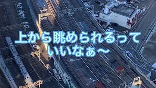 【仙石東北ライン】ラッピング車