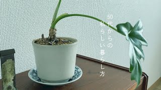 【vlog  50代からの私らしい暮らし方 】イラストレーター／はじめまして／植物との暮らし方／枯らしにくくなりました／古い器／猫／大人のひとり暮らし　＃暮らしvlog＃50代＃賃貸#猫のいる暮らし