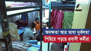 ইংরেজিতে দুর্বল, কম বেতন পায় বাংলাদেশীরা | Maasranga News