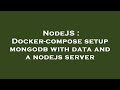 NodeJS : Docker-compose setup mongodb with data and a nodejs server