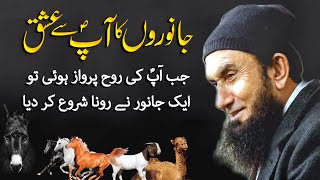 Love of Animals for Prophet Muhammad (saw) | Molana Tariq Jameel Bayan  | 09 April 2023