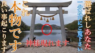 超強力⚠️神が現れます！龍宮に住むその神の名は！！⚠️神々とのご縁を結ぶCh【長崎県対馬市 和多都美神社】【祭神：彦火火出見尊 豊玉姫命】