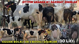 Voy Doddd Ser sut Chempion Sigirlar IXTIYOR akadan Arzongina sotiladi Bunaqasi Bo'lmagan