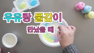 [미술놀이] 우유랑 물감이 만났을 때 #06