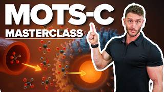 The Best Peptide for Insulin Resistance & Mitochondrial Health: MOTS-C Masterclass