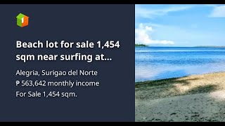 Beach lot for sale 1,454 sqm near surfing at Siargao Island 25,000/sqm