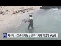 제주에서 멸종위기종 푸른바다거북 해경에 구조돼 ytn 사이언스