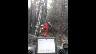 Rottne H14c SP561 working in Oregon part 2