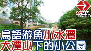 【澳門快閃】鳥語游魚小水潭 大潭山下的小公園 　—　湖畔公園 Jardim do Lago ｜澳門深度遊｜澳門街景｜