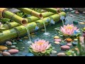 peaceful relaxation music stress relief music relaxing piano music water sounds meditation