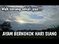 Senang sekali peribahasa ini 