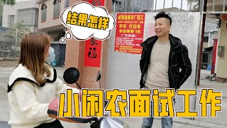 菠萝妹给小闲农介绍工作，今天正式面试，未来会成为同事吗？【小闲农】