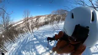 Niseko Cat skiing run