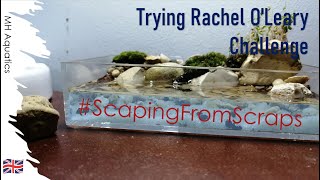 Aquascaping a paludarium from scraps | #ScapingFromScraps