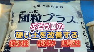 ぶどう園の土壌の保水性・通気性・根張り　土壌改良剤を使う！