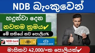 🔥Get Monthly interest from NDB bank | fixed deposit interest rates sri lanka | highest fd rates 2024