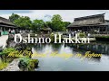 Oshino Hakkai Travel - World natural heritage in Japan 🇯🇵