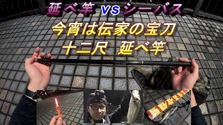 電気ウキで攻める！伝家の宝刀☆十二尺延べ竿vsちびっ子シーバス☆大物とは対決ならず？！#9