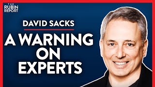 Ex-PayPal COO: Why Experts Supported Harmful Lockdowns (Pt.3)| David Sacks | POLITICS | Rubin Report