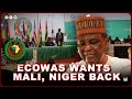 ECOWAS BEGS MALI AND NIGER TO COME BACK