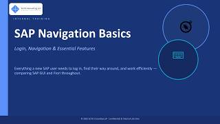 13 SAP Navigation