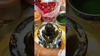 Panchamritha Abhishekam on Lord Shiva LIVE. | #viral #trending #youtube #youtubeshorts #viralvideo