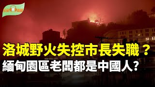 洛杉磯野火失控 消防栓沒水拖累滅火 州長下令徹查；知情人：緬甸園區老闆都是中國人；特朗普獲無條件釋放 批民主黨「政治獵巫」；馬杜羅無視指控宣誓就職 美提高懸賞金 主播：慧雯【聚焦香港-希望聽新聞】