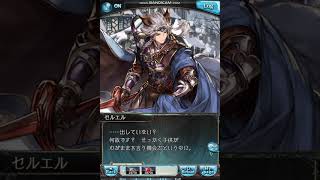 グラブル 2019クリスマスボイス(セルエル)