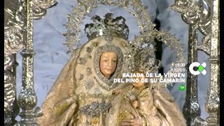 Bajada de la Imagen de la Virgen del Pino de su Camarín | PROMO 05/09/24