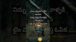 ఓపిక పట్టు మిత్రమా #telugumotivational #motivational #quotes