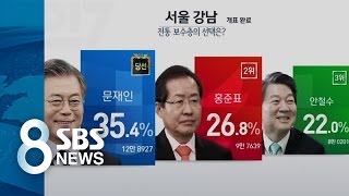 17개 지역 중 14곳에서 1위 / SBS