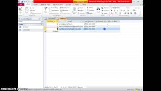 MS ACCESS 2013 Validation Rule Input Mask