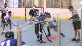 CBHL WINTER 2014 - NORDIQUES VS LEAFS