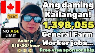 General Farm Worker Jobs in Canada 🍁 | Any nationalities can apply! No fees! With visa sponsorship