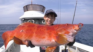 【釣り百景】#256 薩摩硫黄島・魅惑のロックフィッシュ