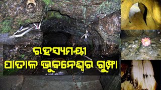 Mystery Behind Uttarakhand's 'Patal Bhuvaneshwar Gufa' | Pithoragarh | Lord Shiva | Temples of India