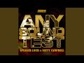 Any Sound Test