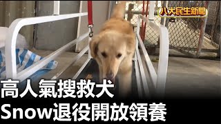 高人氣搜救犬 Snow退役開放領養 |【民生八方事】| 2023022401 @gtvnews27