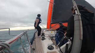 Salona 44 downwind sailing