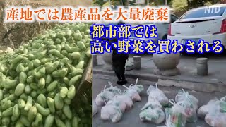 中国 産地では農産品を大量廃棄 都市部では高い野菜を買わされる