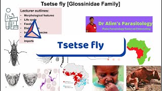 The Silent Assassin: Tsetse Flies and the Secret of Sleeping Sickness [Full lecture]