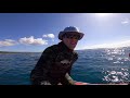 bluewater spearfishing mahi mahi tusk fish catch n cook