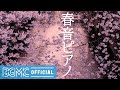 春音ピアノ: Spring Relaxed Morning - Calm Piano Instrumental Music for Chill and Watch Cherry Blossoms