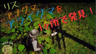 RDR2　リス\u0026アライグマ＆アナグマを1ヶ所で　アナグマ、リスは説明欄の動画の方がよく見つけられます